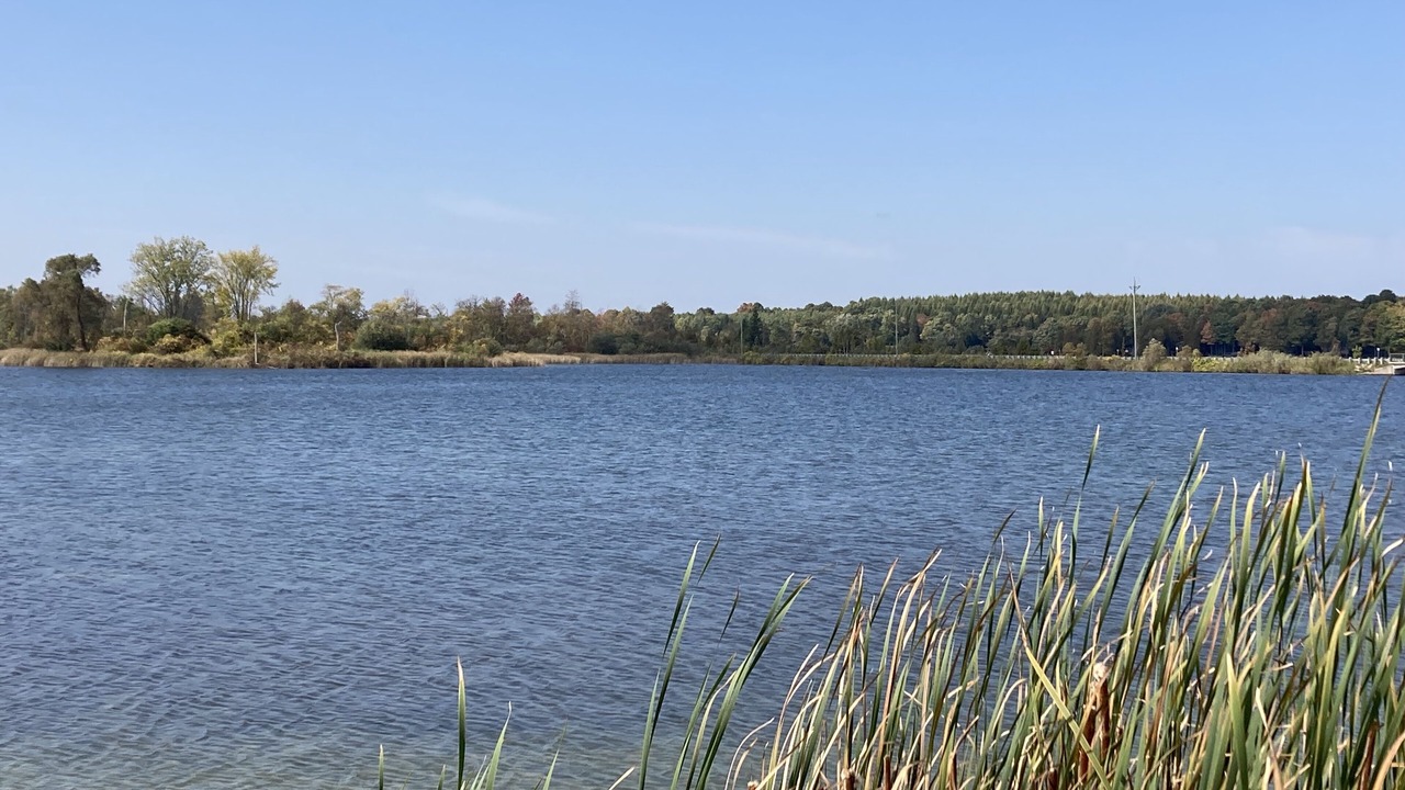 Photo of Outdoor in Grey Highlands