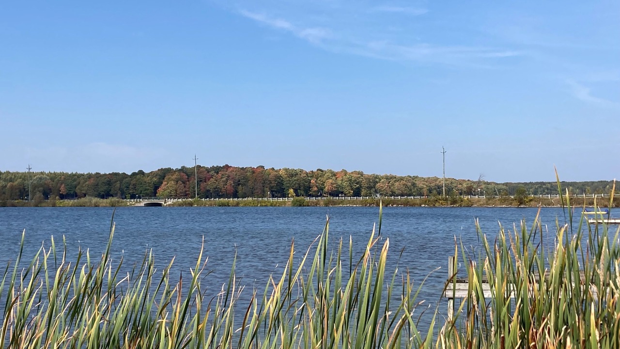 Photo of Outdoor in Grey Highlands