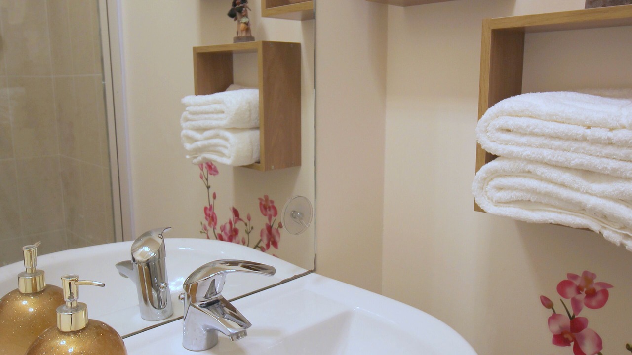 Photo of Bathroom in Serris