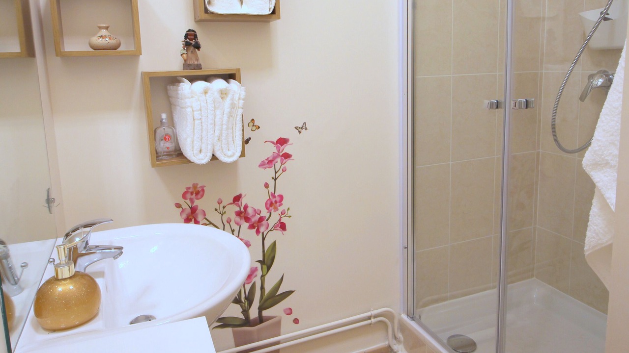 Photo of Bathroom in Serris