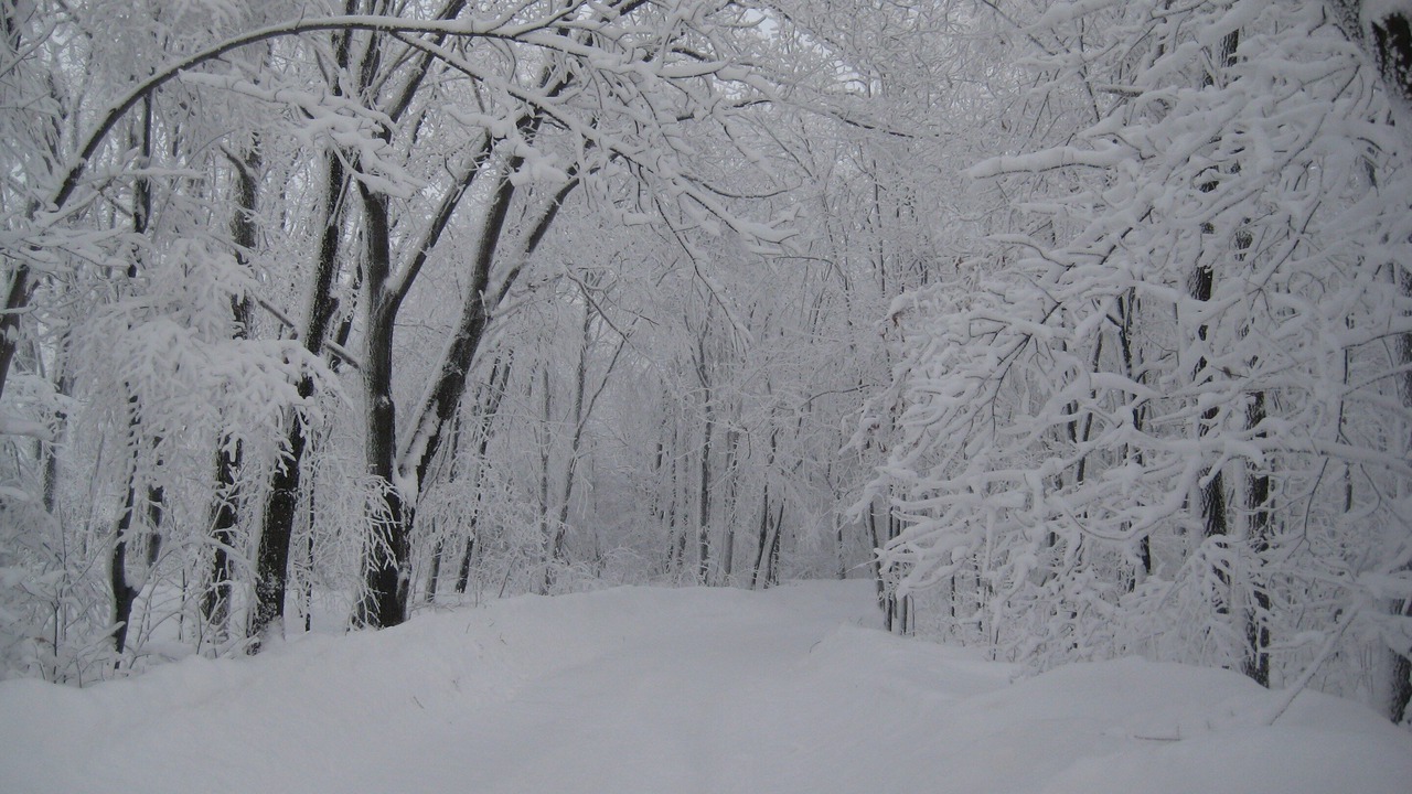 Photo of Others in Stahlstown