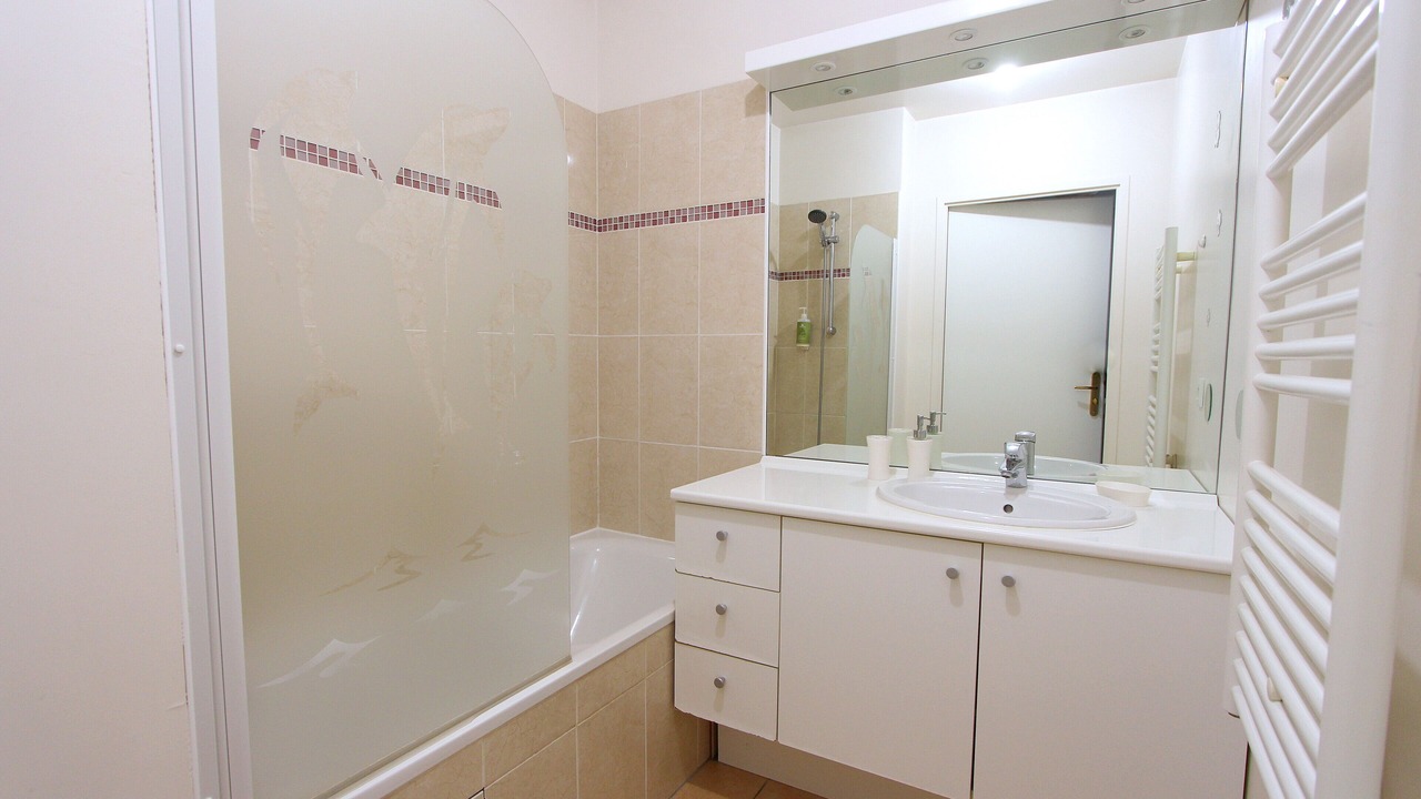 Photo of Bathroom in Serris