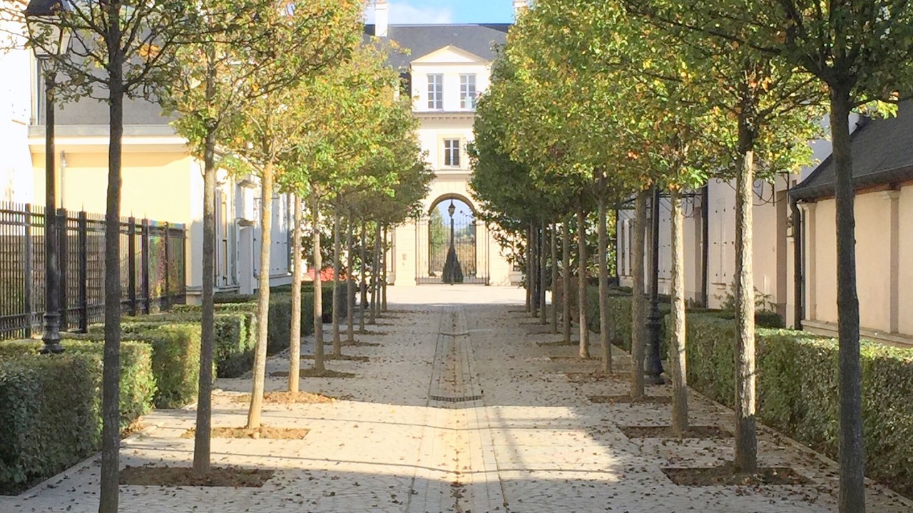 Photo of Outdoor in Serris