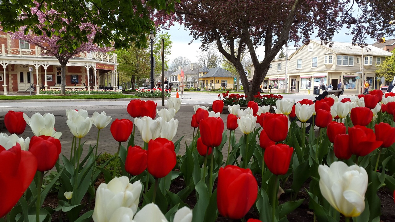 Photo of Others in Old Town Historic District