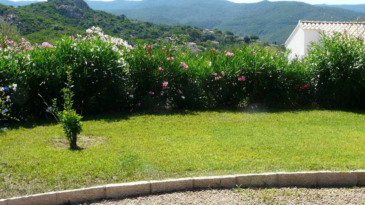 Photo of Outdoor in Pietrosella