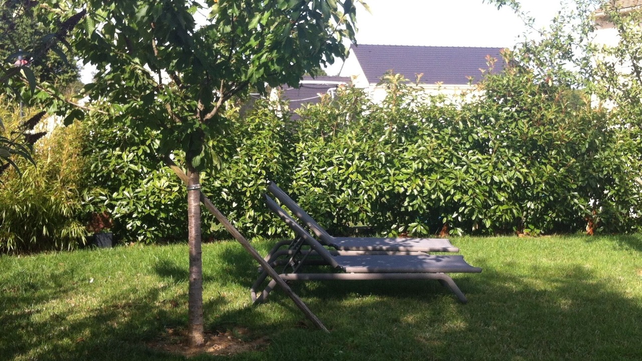 Photo of Outdoor in Esbly