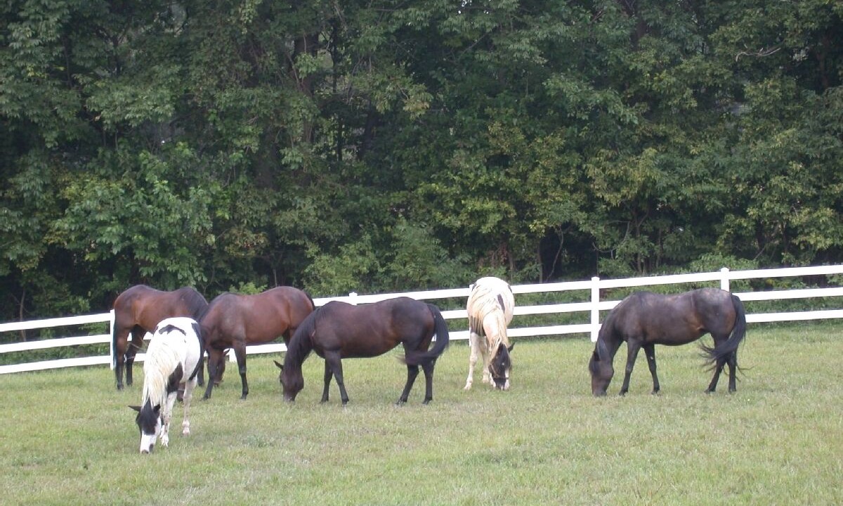 Photo of Others in Refton