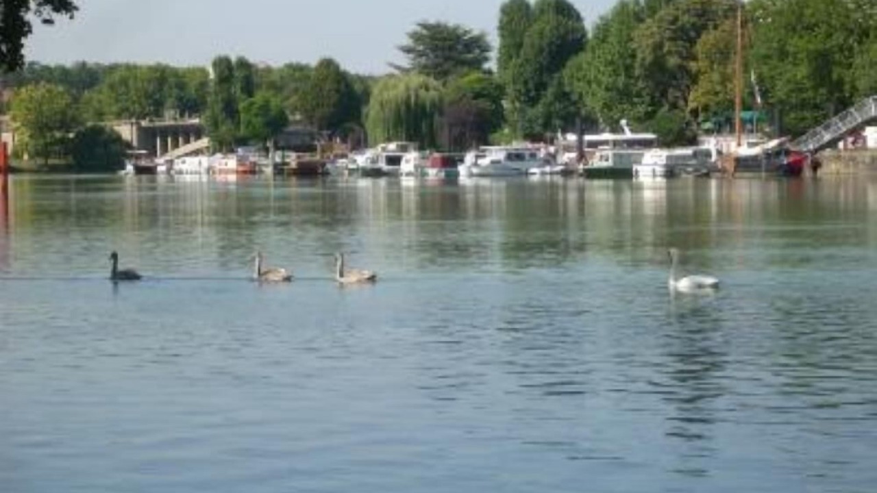 Photo of Others in Saint-Maur-des-Fosses