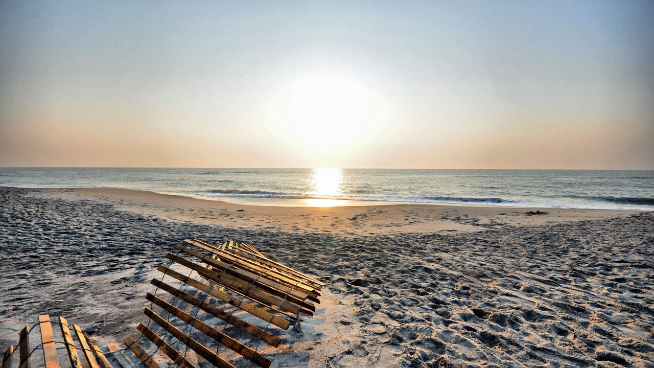 Photo of Others in Assateague Pointe