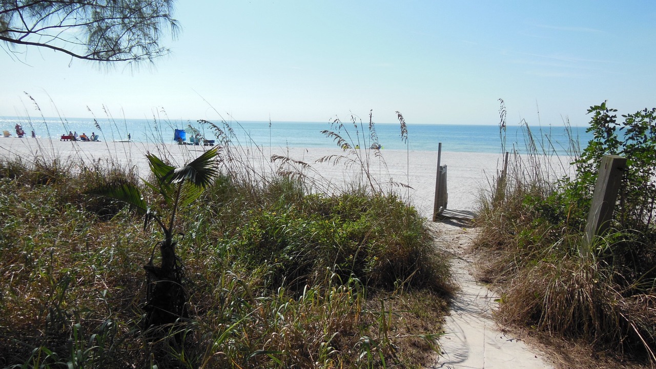 Photo of Others in Sunset Beach