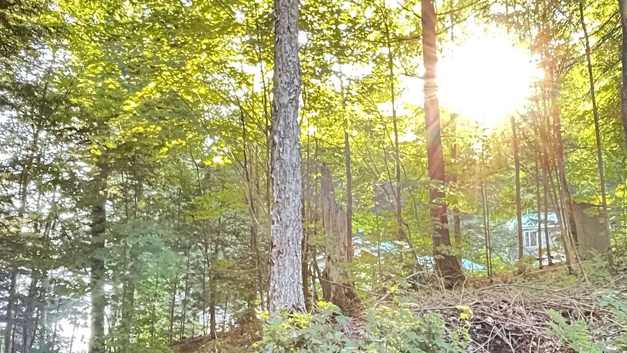 Photo of Others in Lake of Bays