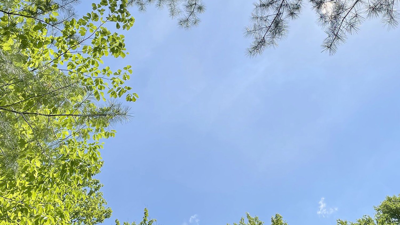Photo of Others in Lake of Bays