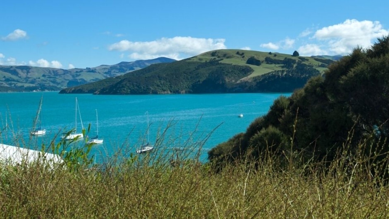 Photo of Others in Akaroa
