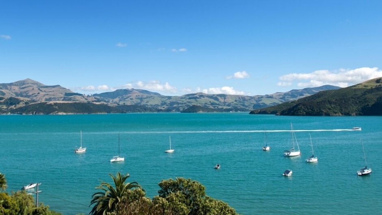 Photo of Others in Akaroa