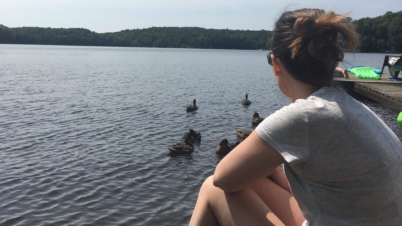 Photo of Others in Muskoka Lakes