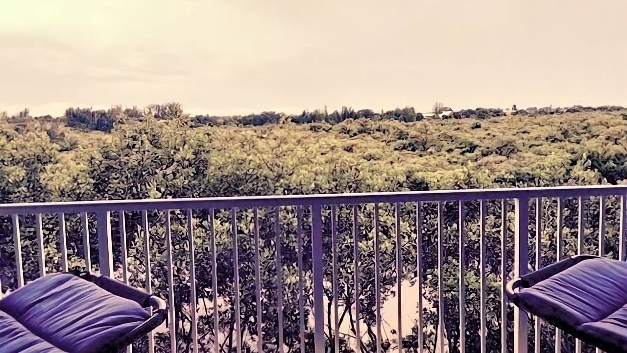 Photo of Outdoor in Ruskin
