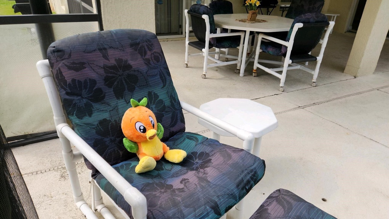 Photo of Outdoor in Orange Tree