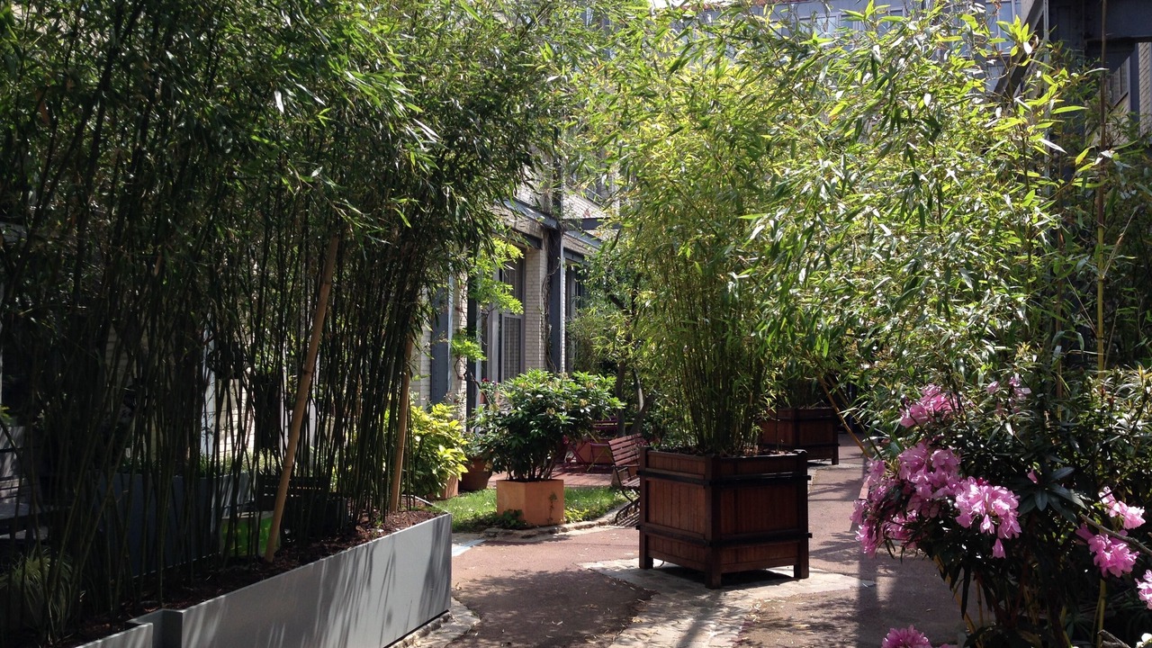 Photo of Outdoor in Hopital Saint-Louis