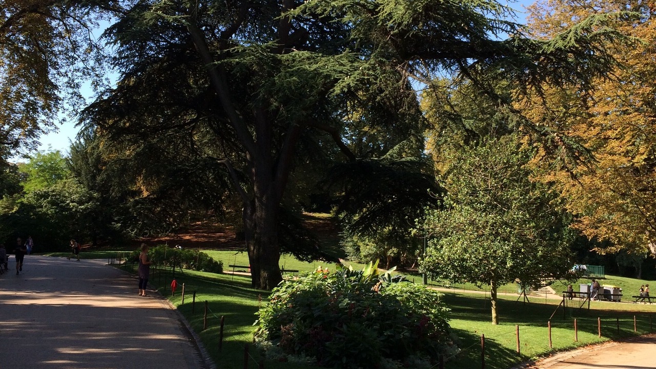 Photo of Outdoor in Amerique