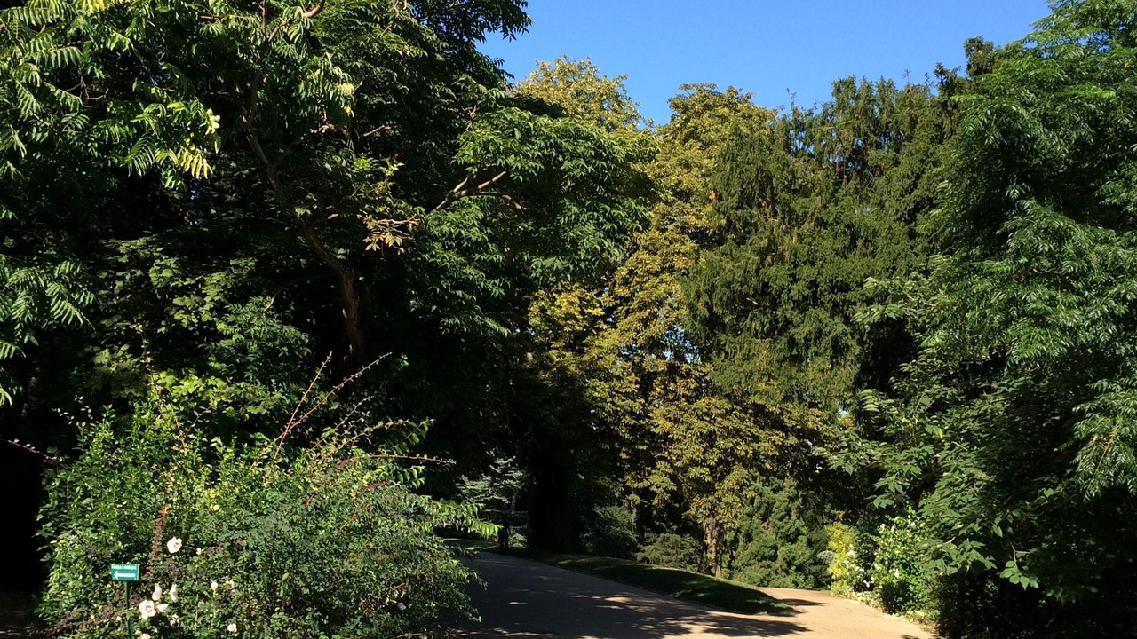 Photo of Outdoor in Amerique