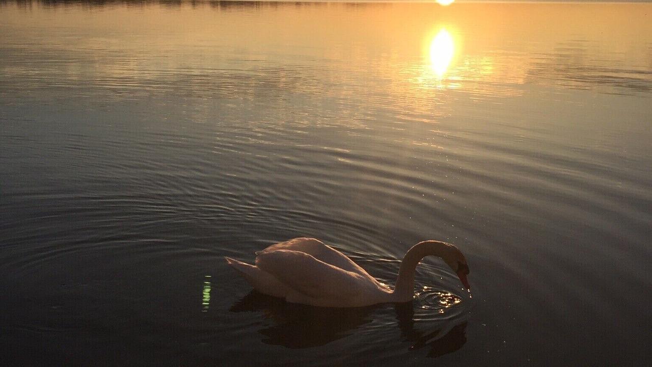Photo of Others in West Lake