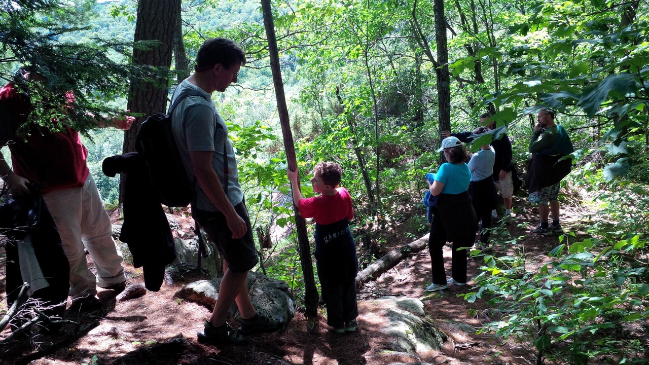 Photo of Others in Algonquin Highlands