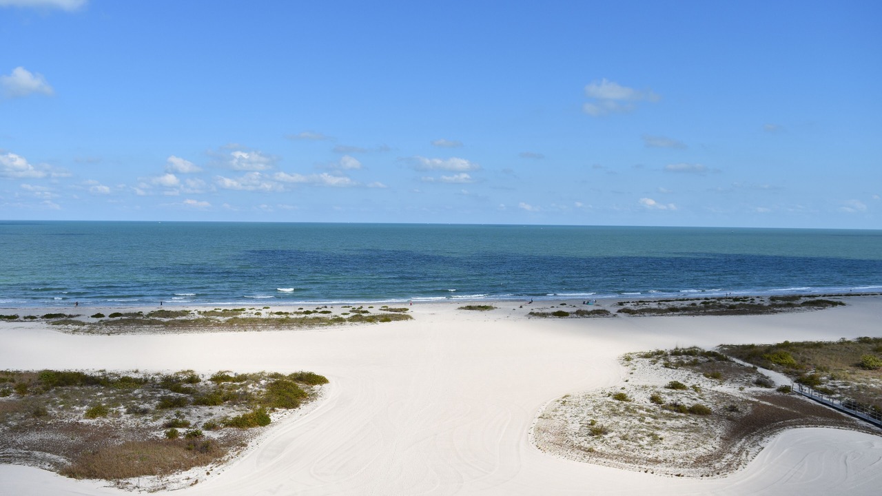 Photo of Others in Sand Key
