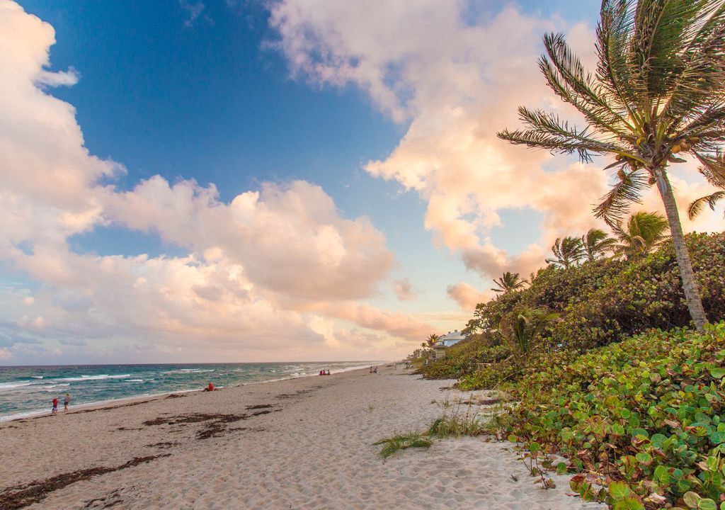 Photo of Others in Ocean Ridge