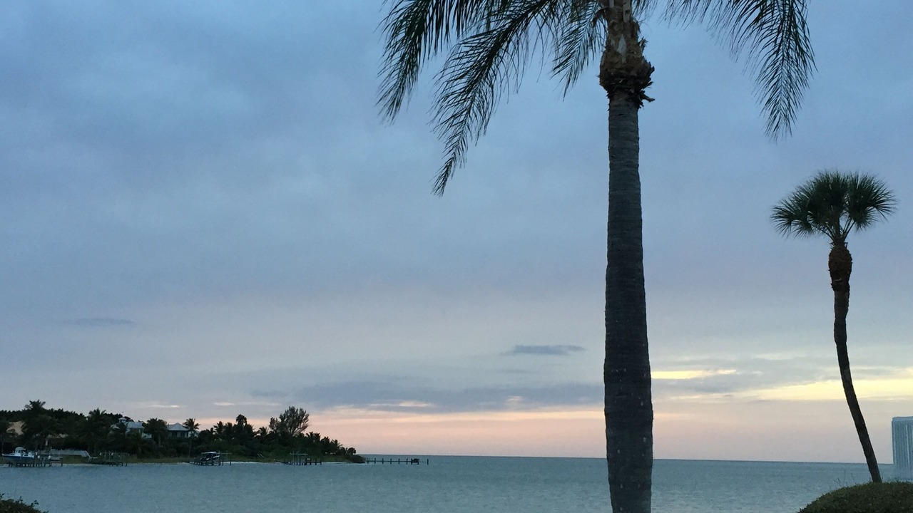 Photo of Others in Boca Grande