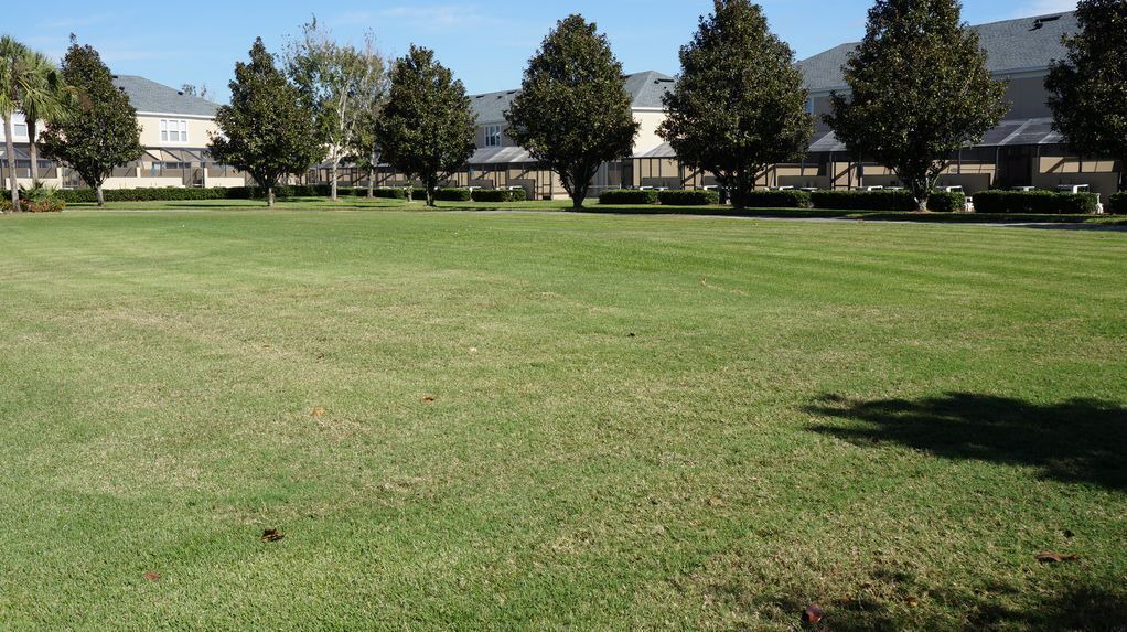 Photo of Others in Windsor Hills