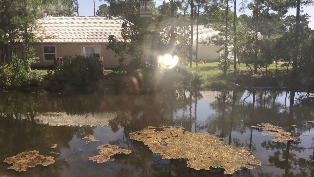 Photo of Outdoor in Seagrove Beach
