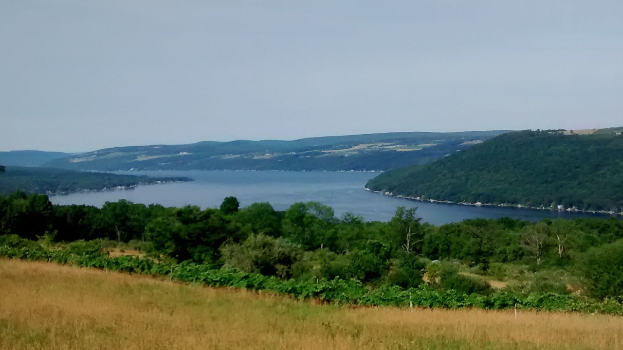 Photo of Others in Hammondsport