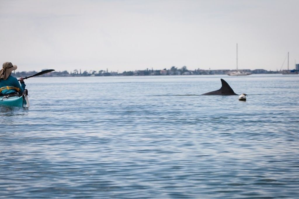 Photo of Others in Bayview