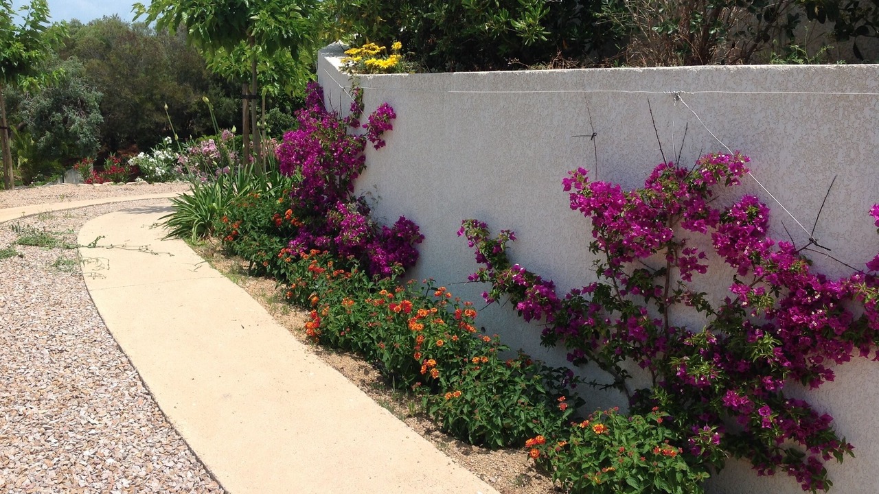 Photo of Outdoor in Pietrosella