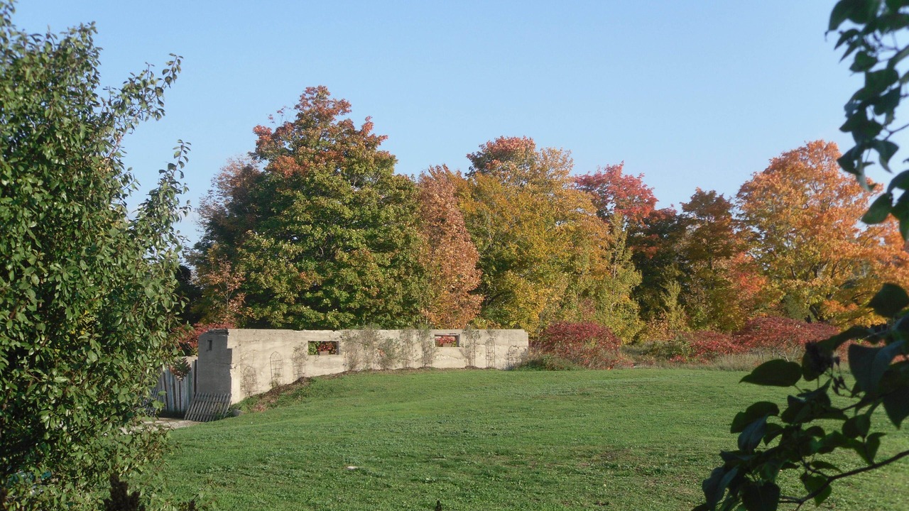 Photo of Others in Southampton