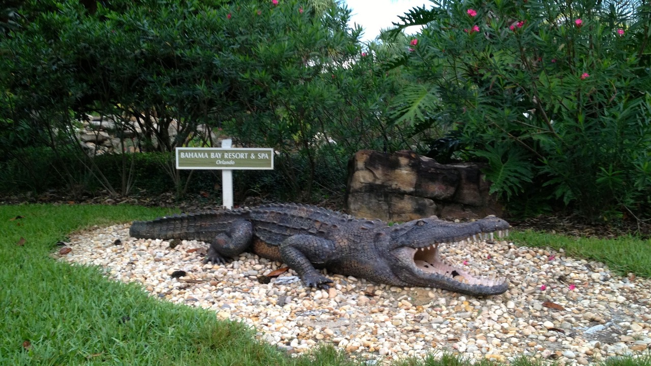 Photo of Outdoor in Bahama Bay
