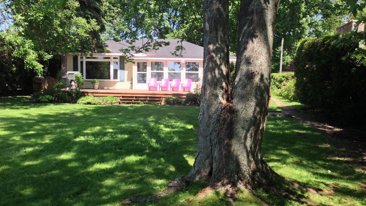 Photo of Outdoor in Virginia