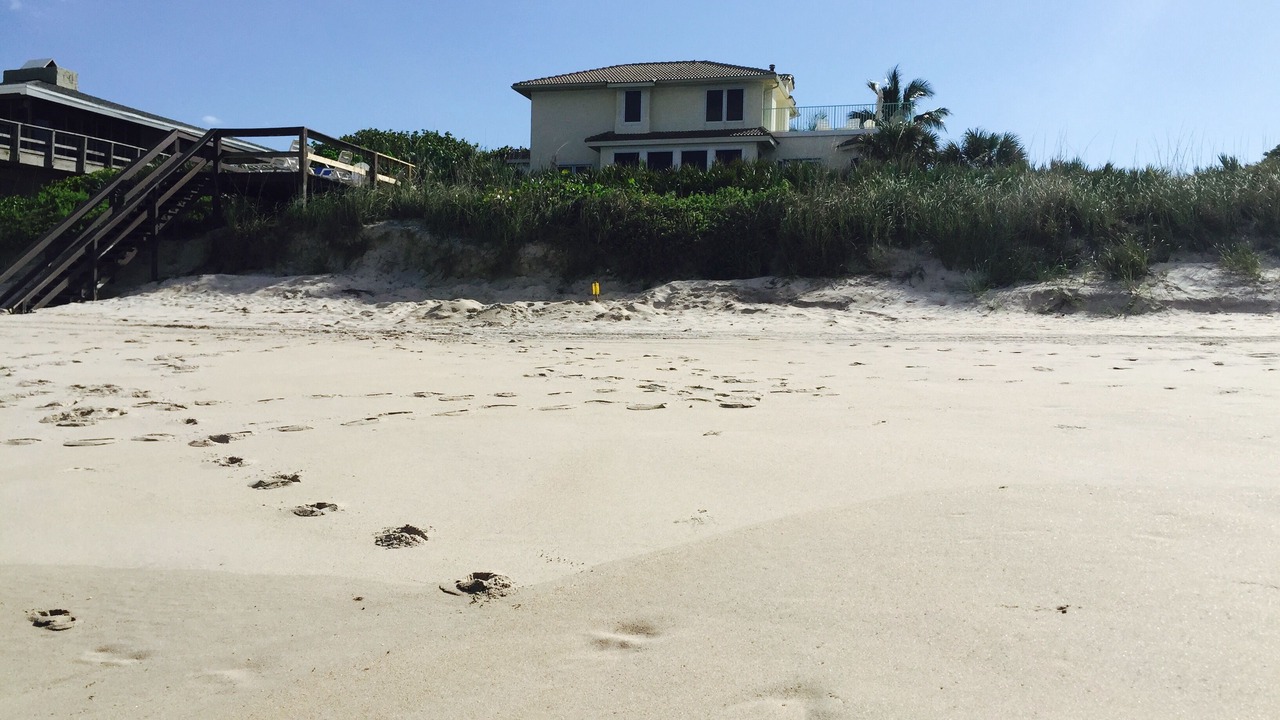 Photo of Others in Melbourne Beach