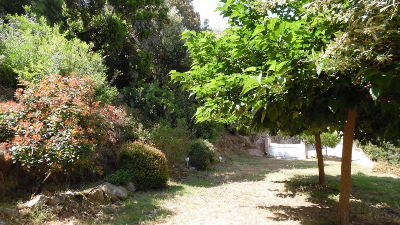 Photo of Outdoor in Belvedere-Campomoro