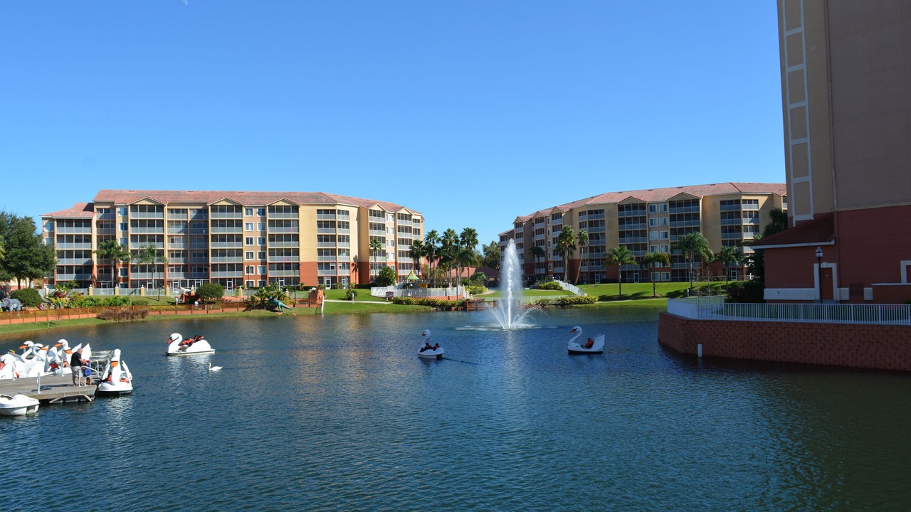 Photo of Outdoor in West Kissimmee