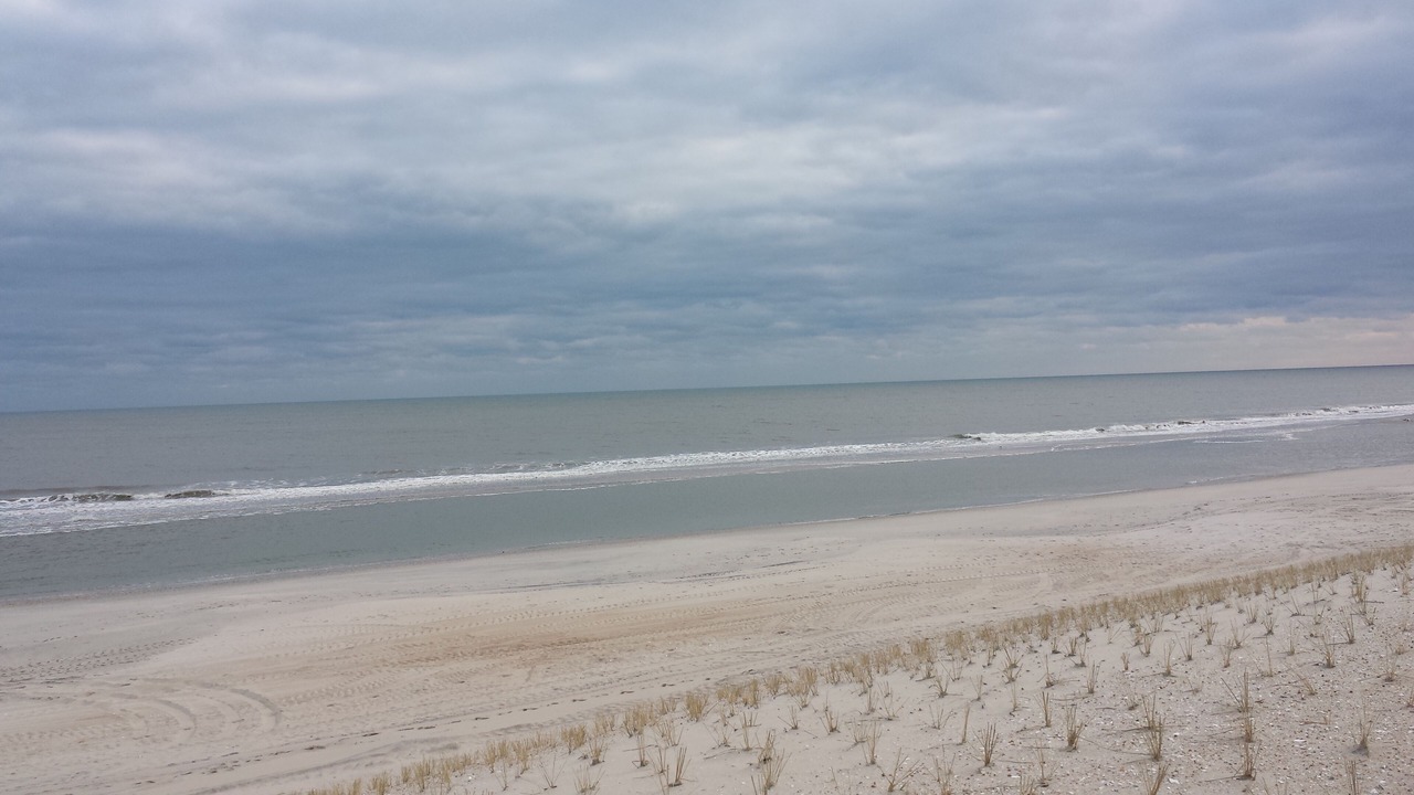 Photo of Others in South Beach Haven