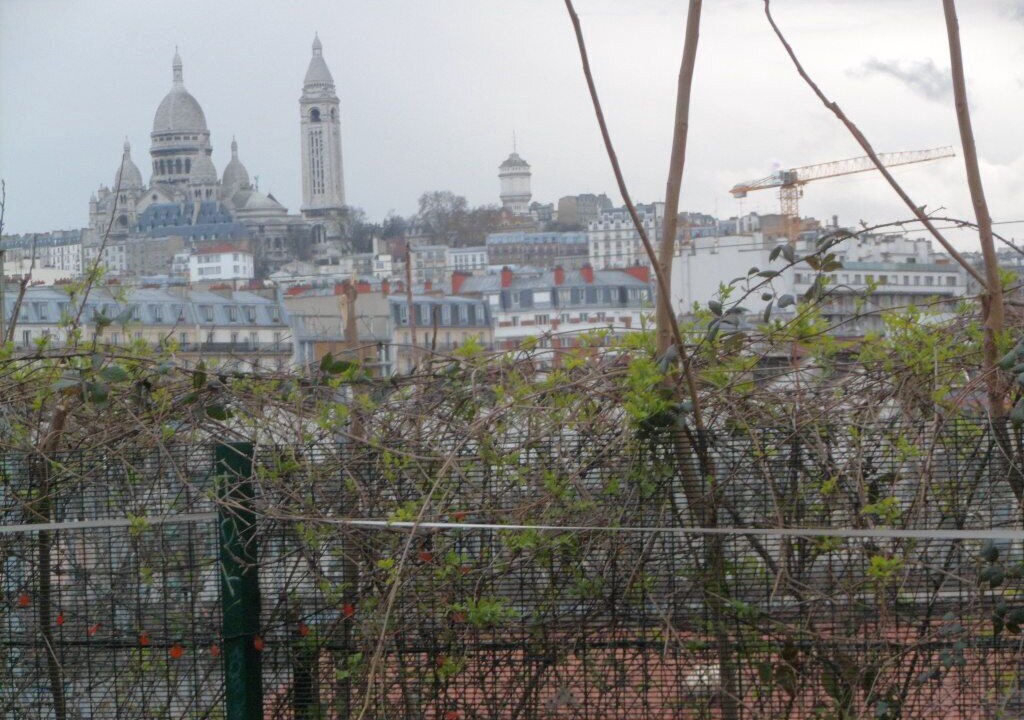 Photo of Others in Quartier de la Chapelle