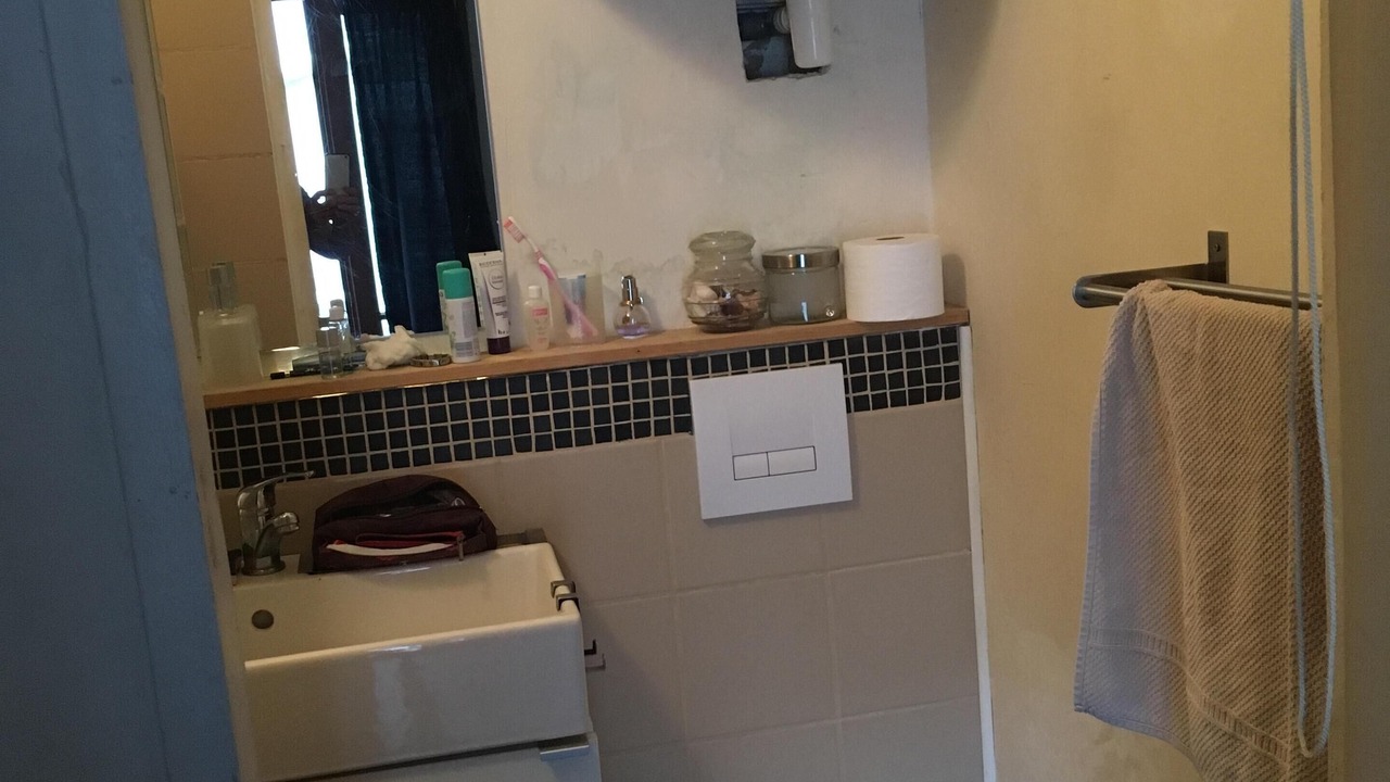 Photo of Bathroom in Pere Lachaise