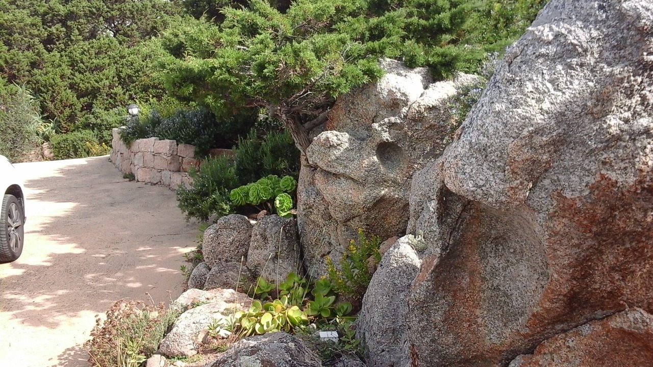 Photo of Outdoor in Tizzano