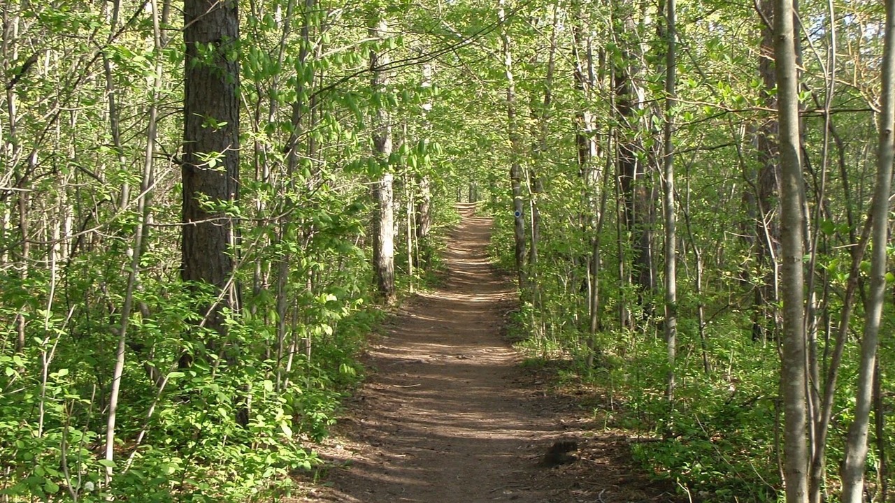 Photo of Outdoor in Craigleith