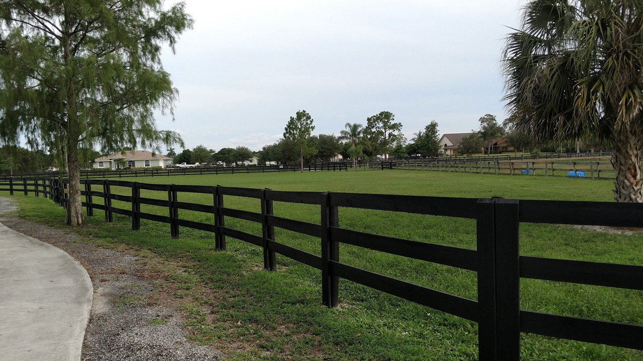 Photo of Outdoor in Loxahatchee