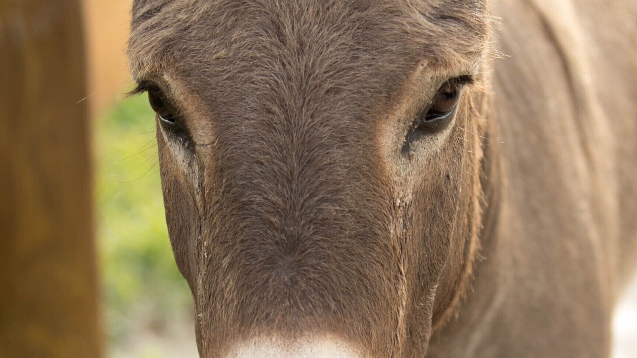 Photo of Others in Loxahatchee
