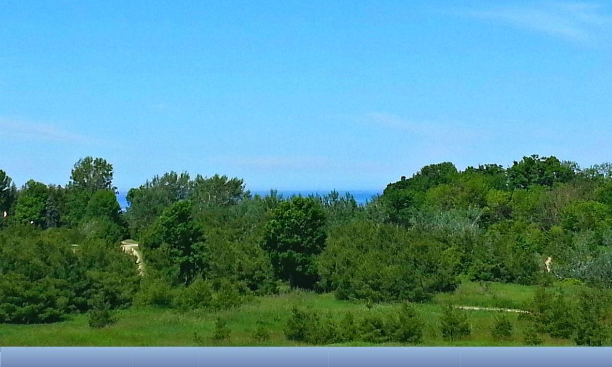 Photo of Others in Ashfield-Colborne-Wawanosh