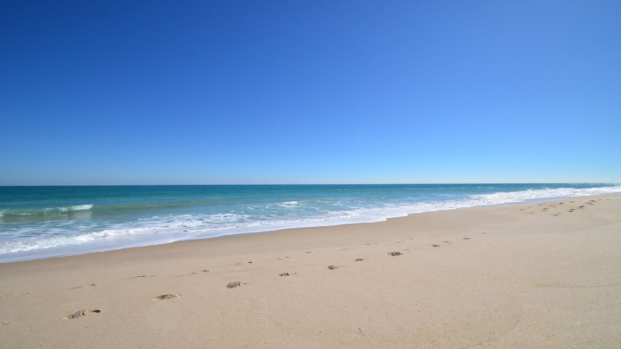 Photo of Others in Indian River Shores