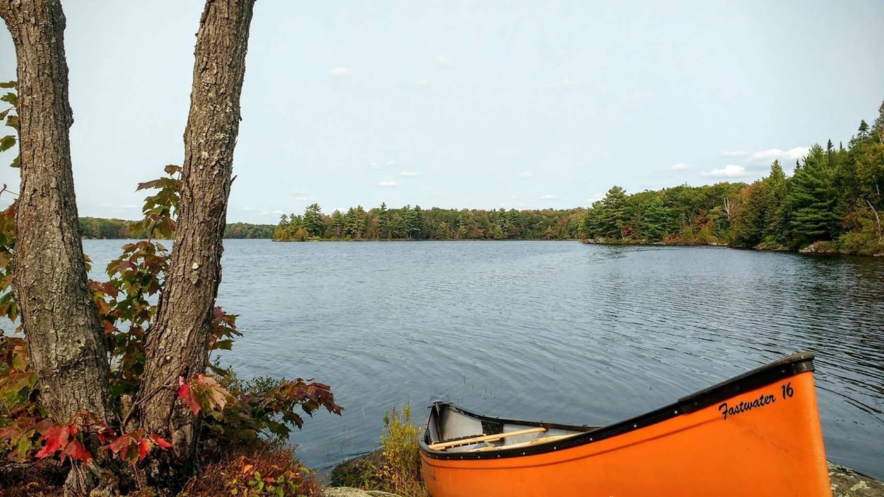 Photo of Outdoor in Whitestone